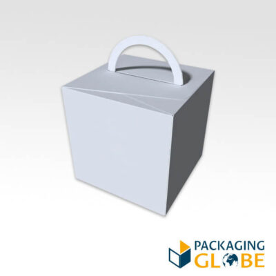 cube shaped carrier boxes