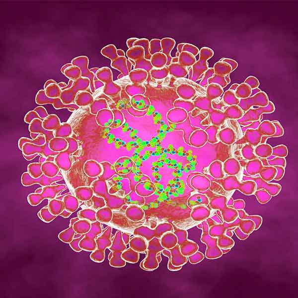 monkeypox a deadly virus