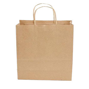 brown paper bags with handles
