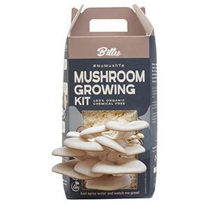 Stuffed mushrooms packaging