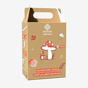 Mushroom wholesale packaging
